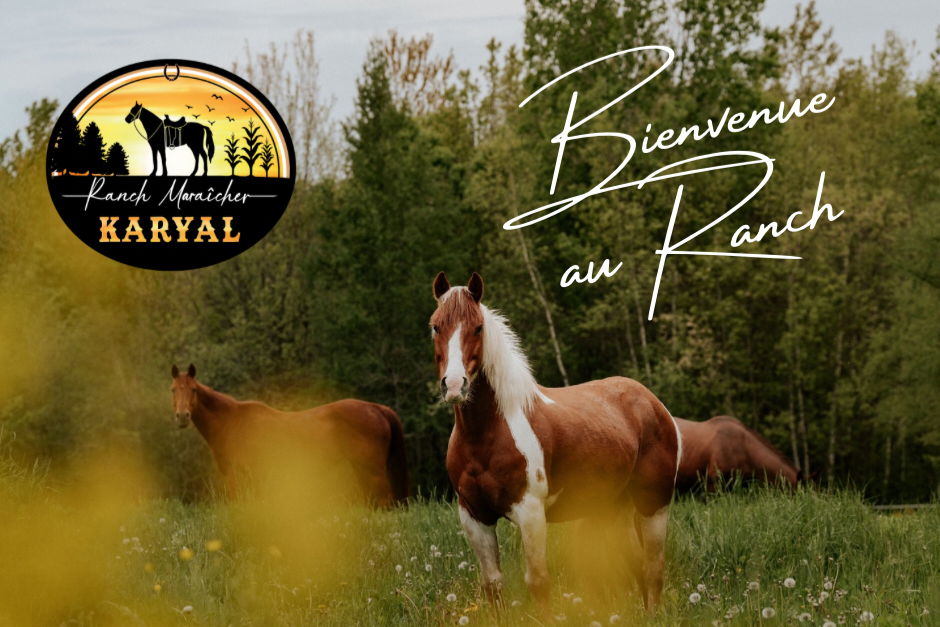 Chevaux du Ranch Karyal